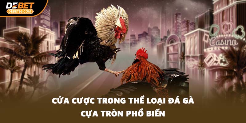 Cửa cược trong thể loại đá gà cựa tròn phổ biến