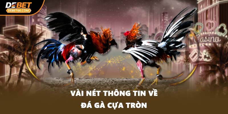 Vài nét thông tin về đá gà cựa tròn